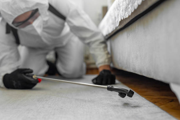 Professional Bed Bug Control technician working in Fort Myers, FL