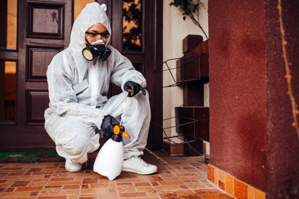 Reliable Bed Bug Control contractor in Fort Myers, FL by Nex Pest Control